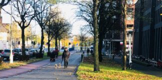 ‘Hond durft niet meer naar buiten vanwege vuurwerk’