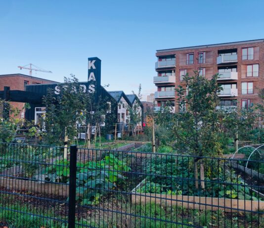 Duurzame Speelgoedmarkt in Stadskas Tuin van Toorop