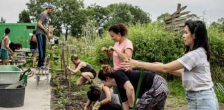 Weer financiële problemen MijnStadstuin in Tuinen van West