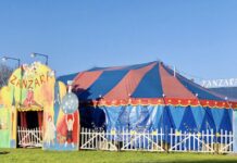 Hooggeëerd publiek: circus Zanzara is weer in het Westerpark