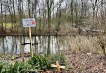 Kerstboom wordt compost en brandstof voor centrale