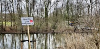 Kerstboom wordt compost en brandstof voor centrale