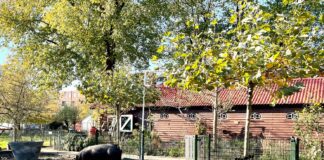 Cursus natuurlijk tuinieren, ook voor balkon en vensterbank