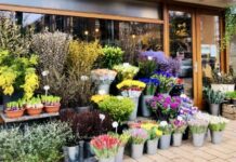 Valentijnsdag: 12x de mooiste bloemen kopen in West