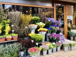 Valentijnsdag: 12x de mooiste bloemen kopen in West