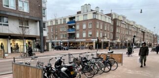 Hekken tegen parkerende auto’s Kinkerstraat