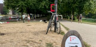 Onderzoek naar ‘gifworst’ Erasmuspark en Mercatorplein