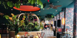 3 Caribische nieuwkomers in (Nieuw-)West