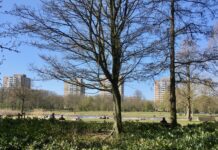 Cadeau voor jarig Rembrandtpark: goede schoonmaakbeurt