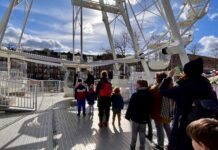 Melancholie in het Westerpark