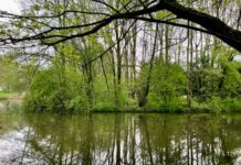Wel of geen wandelpad over natuureilandjes Erasmuspark?