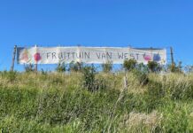 Gemeente zoekt boer voor Tuinen van West