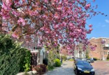 Duurzaam Slotervaart wil buurt aardgasvrij maken