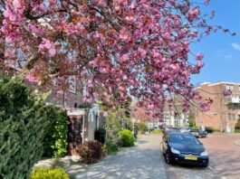 Duurzaam Slotervaart wil buurt aardgasvrij maken