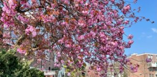 Duurzaam Slotervaart wil buurt aardgasvrij maken