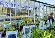 Kwekerij Groen Genoegen in Westerpark zet deuren open