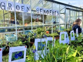Kwekerij Groen Genoegen in Westerpark zet deuren open