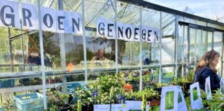 Kwekerij Groen Genoegen in Westerpark zet deuren open