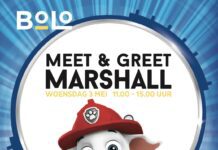 Meet & Greet met Marshall van PAW Patrol op Bos en Lommerplein