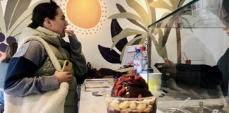 Oakberry heeft de koudste lunch van Westerpark