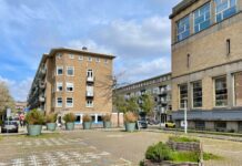 Groen op parkeerplekken bij Wachterliedplantsoen