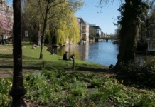 Waarom het loont om te werken in een kantoor bij een park