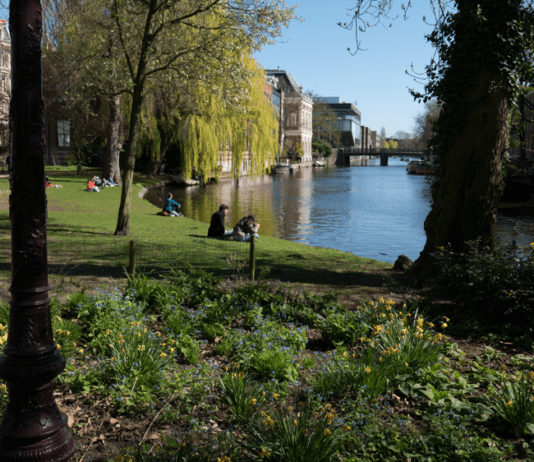 Waarom het loont om te werken in een kantoor bij een park