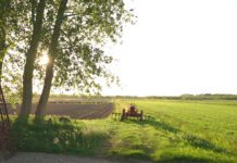 Ondernemers gezocht voor stadslandbouw Lutkemeerpolder