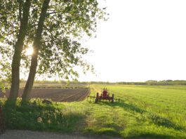 Lutkemeerpolder op televisie bij Nederland van Binnen