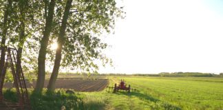 Ondernemers gezocht voor stadslandbouw Lutkemeerpolder