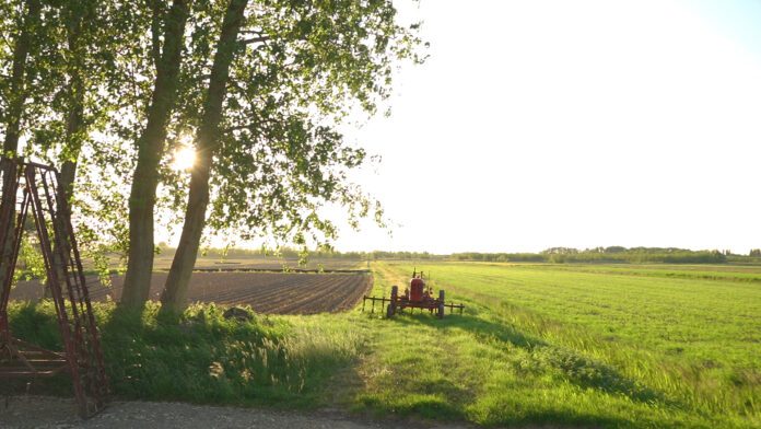 Still Lutkemeerpolder