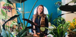 Plantenzaak De Wilde Weg is ‘een jungle zonder dieren’