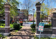 In onze buurt raak je nooit uitgespeeld