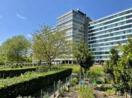 Feest rond 10-jarig bestaan Bos en Lommerplantsoen