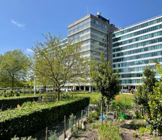 Feest rond 10-jarig bestaan Bos en Lommerplantsoen