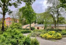 Opknapbeurt plantsoen Westzaanstraat met meer groen