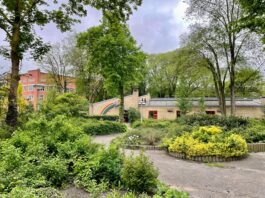 Opknapbeurt plantsoen Westzaanstraat met meer groen