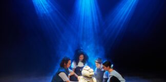 Zojuist bevestigd: Geen oog dicht (8+), voorstelling met poppentheater, live film en muziek in Podium Mozaïek!