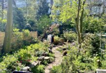 Verborgen paradijsjes ontdekken achter de straatgevels van West