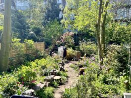 Verborgen paradijsjes ontdekken achter de straatgevels van West