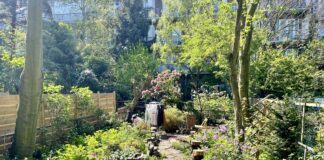 Verborgen paradijsjes ontdekken achter de straatgevels van West