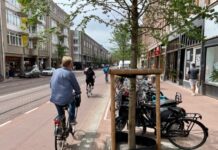 ‘Vraag bewoners om bomen water te geven’