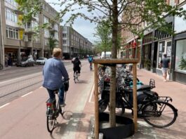 ‘Vraag bewoners om bomen water te geven’