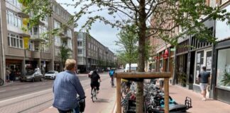 ‘Vraag bewoners om bomen water te geven’