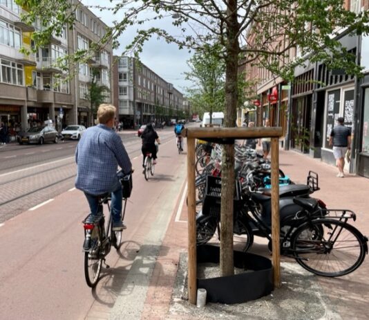 ‘Vraag bewoners om bomen water te geven’
