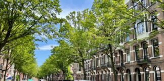 Politie jaagt met helikopter op foutparkeerder die inreed op handhaver