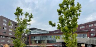 Ook een eigen kraam op het BoLo buurtfeest?