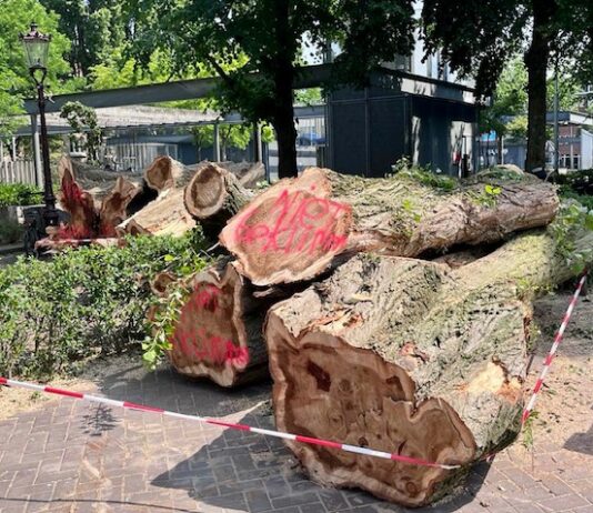 De oude reus is geveld