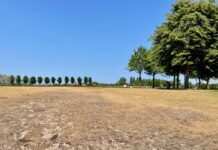 Westerpark: waar zijn het groen en water gebleven?