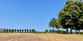 Westerpark: waar zijn het groen en water gebleven?